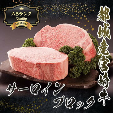 【ふるさと納税】都城産宮崎牛サーロインブロック（「A5」ランク） - 最高級牛肉 国産黒毛和牛 A5ランク和牛 ビーフステーキ/ビフテキ/鉄板焼き/網焼き 霜降り肉 霜ふり 協同商事 直売所ATOM 送料無料 MC-0105【宮崎県都城市はふるさと納税二年連続日本一!!】