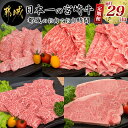 【ふるさと納税】日本一の宮崎牛定期便【毎月29日は都城のお肉でお肉時間】 - 全てA5ランク 全て宮崎牛 特選カルビ焼肉用/牛モモスライス肉/牛モモ焼肉/牛リブローススライス/牛サーロインステーキ 送料無料 T105-5-A001【宮崎県都城市は令和4年度ふるさと納税日本一！】