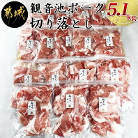 【ふるさと納税】観音池ポーク切り落とし5.1kg(ジッパー付袋入り) - 豚肉 切り落とし肉(300グラム×17パック) ジッパー付き袋 5.1キロ 冷凍 小分けパック 宮崎ブランドポーク認定 切落し肉 送料無料 MJ-1522【宮崎県都城市はふるさと納税二年連続日本一!!】