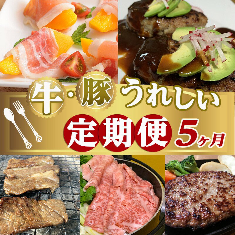 【ふるさと納税】牛・豚うれしい定期便(5ヶ月) - 宮崎牛ロース おさつポークロース 合挽ハンバーグ タレ漬けカルビ焼肉 生ハムセット 送料無料 T40-1502【宮崎県都城市は令和2年度ふるさと納税日本一！】