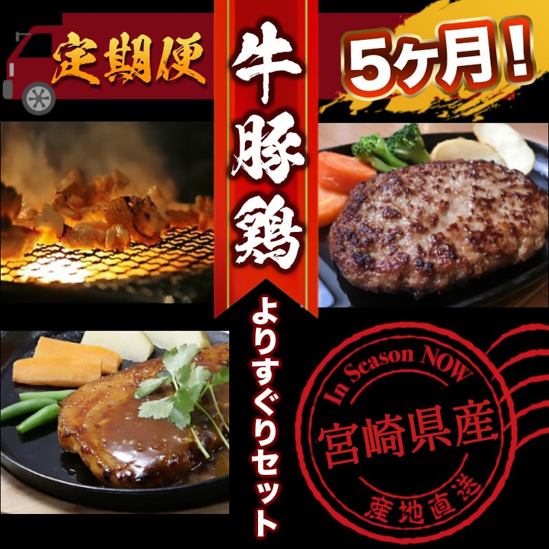 【ふるさと納税】宮崎県産 牛・豚・鶏よりすぐりセットの定期便（5ヶ月） - 牛肉セット(宮崎牛ハンバーグなど)/豚肉セット(観音池ポークロース味噌漬け・生姜焼きなど)/鶏肉セット(都城産鶏炭火焼きなど) 送料無料 T60-1501【宮崎県都城市はふるさと納税二年連続日本一!!】