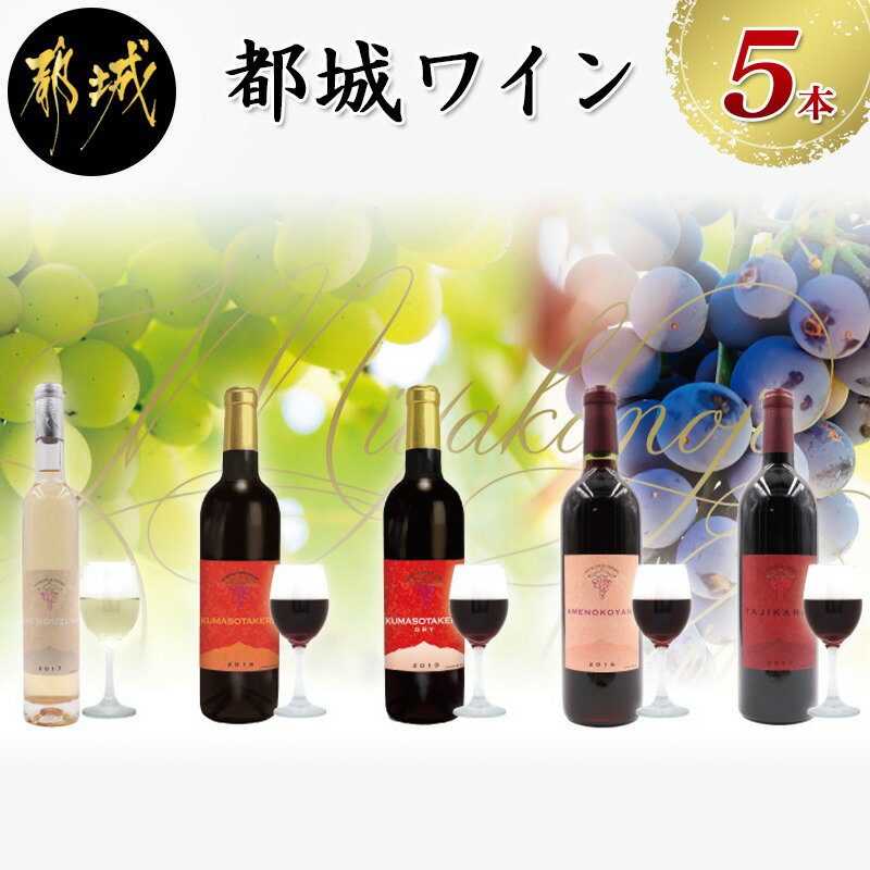 【ふるさと納税】天孫降臨神話・月の神 ワイン5本セット - 赤ワイン(720ml・750ml)4種 白ワイン(375ml)1種 合計5本 極甘口/ほんのり甘口/辛口 お酒 アルコール 地酒 果実酒 ぶどう酒 葡萄酒 おうち時間 送料無料 AE-2003【宮崎県都城市はふるさと納税二年連続日本一!!】