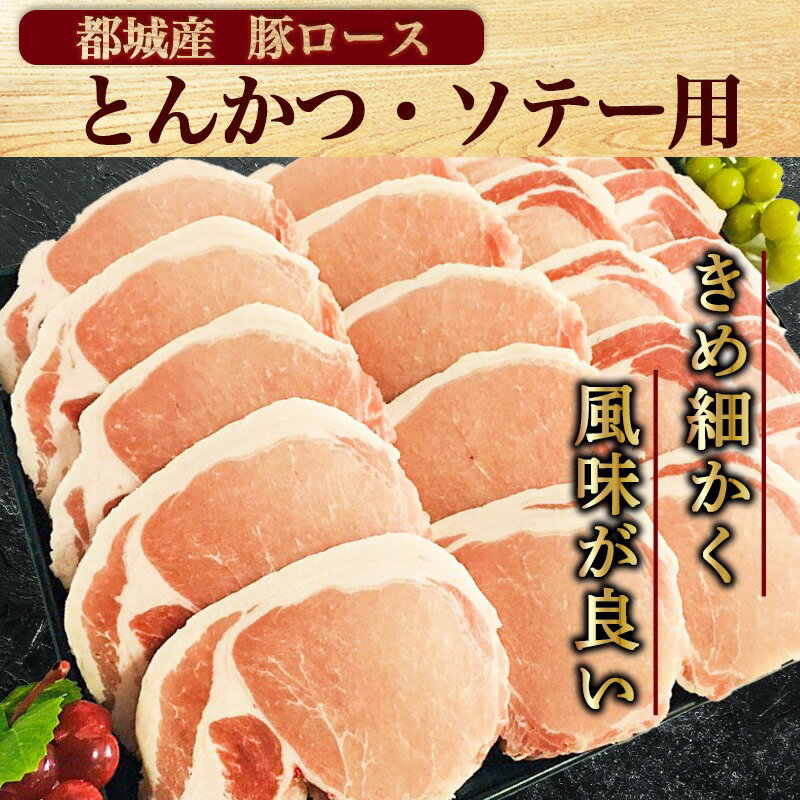 【ふるさと納税】豚ロースとんかつ・ソテー用20枚 - 豚肉 豚ロース とんかつ・ソテーに 100g×5枚入り×4パック 計20枚 豚 真空パック 冷凍保存 送料無料 AA-2506【宮崎県都城市は令和2年度ふるさと納税日本一！】