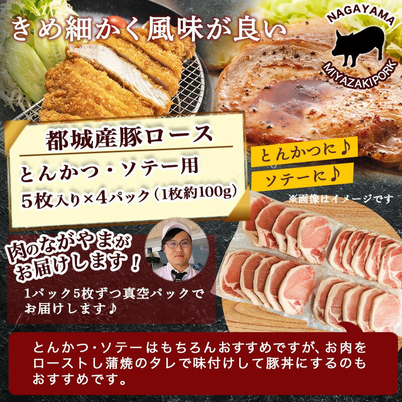 【ふるさと納税】豚ロースとんかつ・ソテー用20枚 - 豚肉 豚ロース とんかつ・ソテーに 100g×5枚入り×4パック 計20枚 豚 真空パック 冷凍保存 送料無料 AA-2506【宮崎県都城市は令和2年度ふるさと納税日本一！】