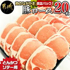 【ふるさと納税】豚ロースとんかつ・ソテー用20枚 - 豚肉 豚ロース とんかつ・ソテーに 100g×5枚入り×4パック 計20枚 豚 真空パック 冷凍保存 送料無料 AA-2506【宮崎県都城市は令和4年度ふるさと納税日本一！】