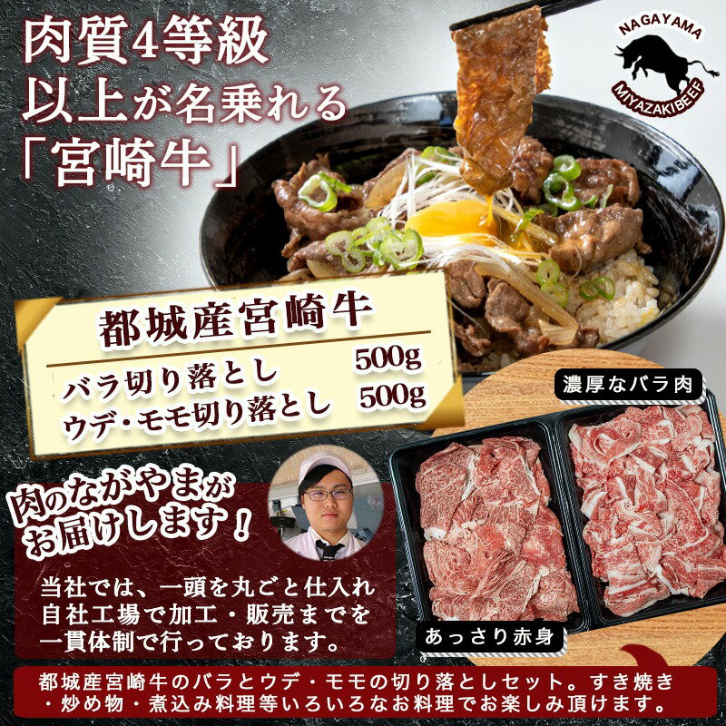 【ふるさと納税】宮崎牛切り落とし食べ比べ1kg - 牛肉 ブランド和牛 牛バラ切落し肉(500g) ウデ・モモ切落とし肉(500g) 薄切り肉 牛バラスライス 牛小間切れ 国産黒毛和牛 お取り寄せ ギフト グルメ 送料無料 AC-2521【宮崎県都城市は令和2年度ふるさと納税日本一！】