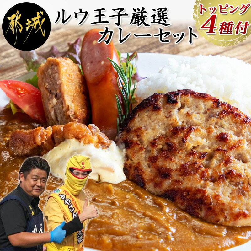 【ふるさと納税】ルウ王子厳選カレーセット プロが選ぶカレーを