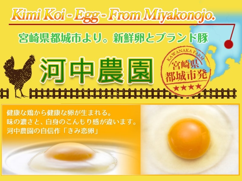 【ふるさと納税】新鮮赤卵「きみ恋卵」6.5kgセット - 河中農園 味が濃くてまろやかなたまご 玉子 6.5kgお送りします 酵母のプロバイオティクス（有用菌）配合肥料を食べた鶏は濃い黄身を持ったタマゴを生みます 送料無料【宮崎県都城市はふるさと納税二年連続日本一!!】が大人気返礼品になっている理由とは　ふるさと納税　人気　返礼品　ランキング