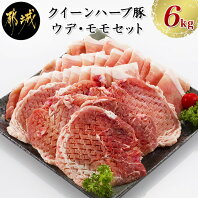 【ふるさと納税】「クイーンハーブ豚」ウデ・モモ6kgセット - ウデ・モモしゃぶ(300g×16P) ウデ・モモとんかつ(300g×4p) 送料無料 AD-2904【宮崎県都城市はふるさと納税二年連続日本一!!】