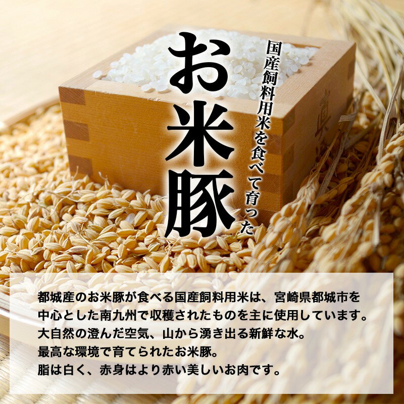 【ふるさと納税】都城産「お米豚」満足ボリューム3.1kgセット（黒たれつき）が大人気返礼品になっている理由とは　ふるさと納税　人気　返礼品　ランキング