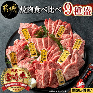 【ふるさと納税】【お届け月が選べる】都城産宮崎牛 焼肉食べ比べ9種盛 - 牛肩ロース/カルビ/マルシン/トモサンカク/ザブトン/ショートリブ/内モモ/サーロイン/イチボ 焼き肉 ギフト 贈答用 期間限定 予約 送料無料 AE-3102【宮崎県都城市は令和2年度ふるさと納税日本一！】