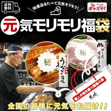 【ふるさと納税】【コロナに負けない!元気モリモリ福袋】職人手焼きうなぎ蒲焼き2尾＆豚ロースステーキ6枚 - 豚肉 鰻 うなぎの蒲焼(150g〜230g×2尾・タレ付き) 麹味噌漬け豚ロース肉(100g×6枚) 送料無料 AC-3305【宮崎県都城市はふるさと納税二年連続日本一!!】