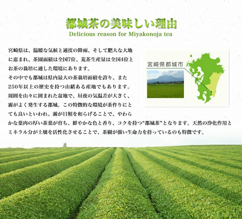 【ふるさと納税】都城茶1kgバラエティセット（茶缶付） - 平成31年度新茶 上煎茶(100g×4本)/極上白折茶(くき茶) 100g×2本/煎茶(200g×2本)/十二単衣茶缶(100g用) 緑茶 日本茶 お茶 丸勝園 厳選茶葉 霧のほまれ 送料無料【宮崎県都城市はふるさと納税二年連続日本一!!】が大人気返礼品になっている理由とは　ふるさと納税　人気　返礼品　ランキング