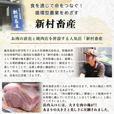 【ふるさと納税】都城産宮崎牛ヒレステーキ1.5kg - 柔らかい肉質の霜降り牛肉 濃縮された肉の旨味で鉄板焼きにも ヒレステーキ用牛肉 150g×10枚 -40度の急速冷凍で新鮮な状態でお届け 送料無料 MC-4201【宮崎県都城市はふるさと納税二年連続日本一!!】