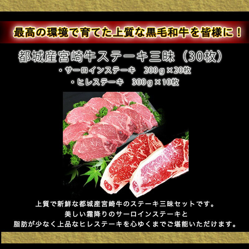 【ふるさと納税】都城産宮崎牛ステーキ三昧（30枚） - 牛肉 美しい霜降りのサーロインステーキ(200g×20枚)・脂肪が少なく上品なヒレステーキ(300g×10枚) 合計30枚 送料無料 MN-4201【宮崎県都城市はふるさと納税二年連続日本一!!】