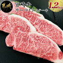 【ふるさと納税】都城産宮崎牛サーロインステーキ1.2kg -