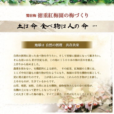 【ふるさと納税】徳重おばあちゃんがつくった昔ながらの3年熟成梅干600g - あったかいご飯やお茶漬け・お料理の調味料に 鶯宿梅(おうしゅくばい) 梅ぼし 自然栽培・無添加 肉厚 徳重紅梅園 送料無料 MJ-4901【宮崎県都城市はふるさと納税二年連続日本一!!】