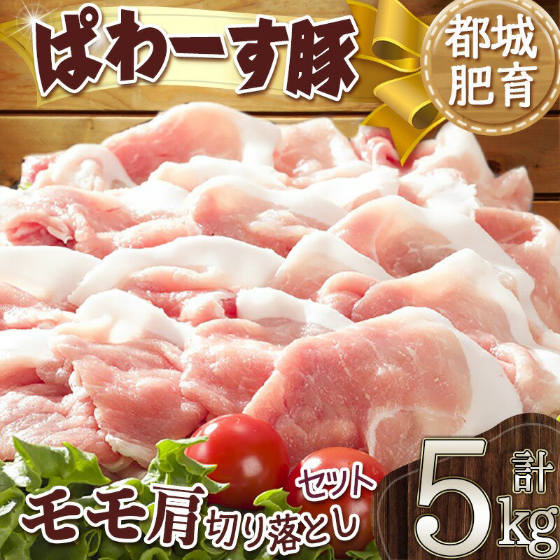 【ふるさと納税】「ぱわーす豚」モモ肩切り落とし5kg - 都城産豚肉 豚モモ肩切落とし肉(250g×20パック) 計5キロ ブランドポーク 国産/宮崎県産 真空パック 送料無料 17-6401【宮崎県都城市は令和4年度ふるさと納税日本一！】