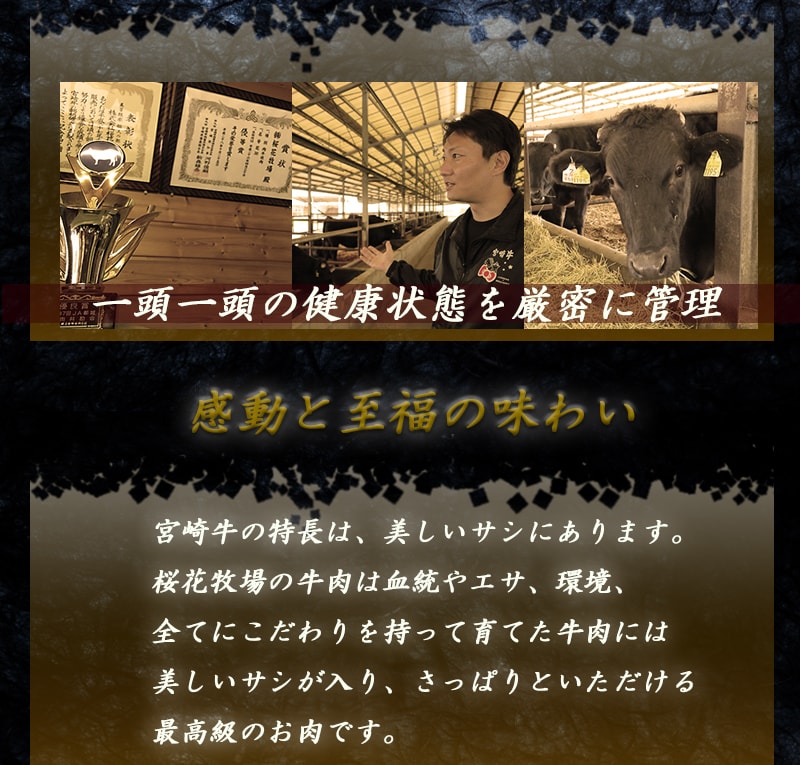 【ふるさと納税】都城産宮崎牛【とろ旨】すきしゃぶ - 都城産宮崎牛(A4ランク) /肩ローススライス 350g×2 計700g すき焼き 焼きしゃぶ しゃぶしゃぶ 牛しゃぶ 牧場直営 国産黒毛和牛 霜降り肉 送料無料【宮崎県都城市はふるさと納税二年連続日本一!!】が大人気返礼品になっている理由とは　ふるさと納税　人気　返礼品　ランキング