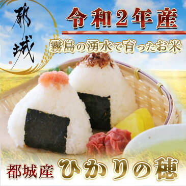 【ふるさと納税】都城産ヒノヒカリ「ひかりの穂」真空パック12kg - お米 (令和2年産)/都城産ヒノヒカリ(1kg×12袋) JGAP認証 1kgずつ小分け 真空パック いつでも精米したての美味しいお米の味 送料無料 MK-7101【宮崎県都城市はふるさと納税二年連続日本一!!】