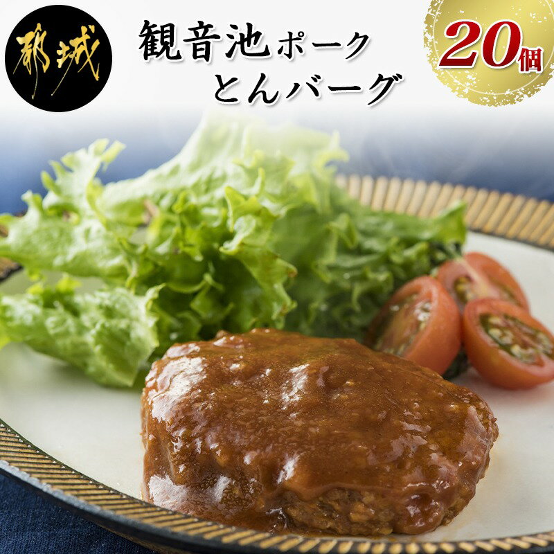 【ふるさと納税】都城産「観音池ポーク」とんバーグ2個×10Pセット - 豚肉 加工品 ポークハンバーグ とんバーグ 100グラム×20個 合計2キロ 豚バーグ 冷凍ハンバーグ トンバーグ とんばーぐ 送料無料 AA-7202【宮崎県都城市はふるさと納税二年連続日本一!!】