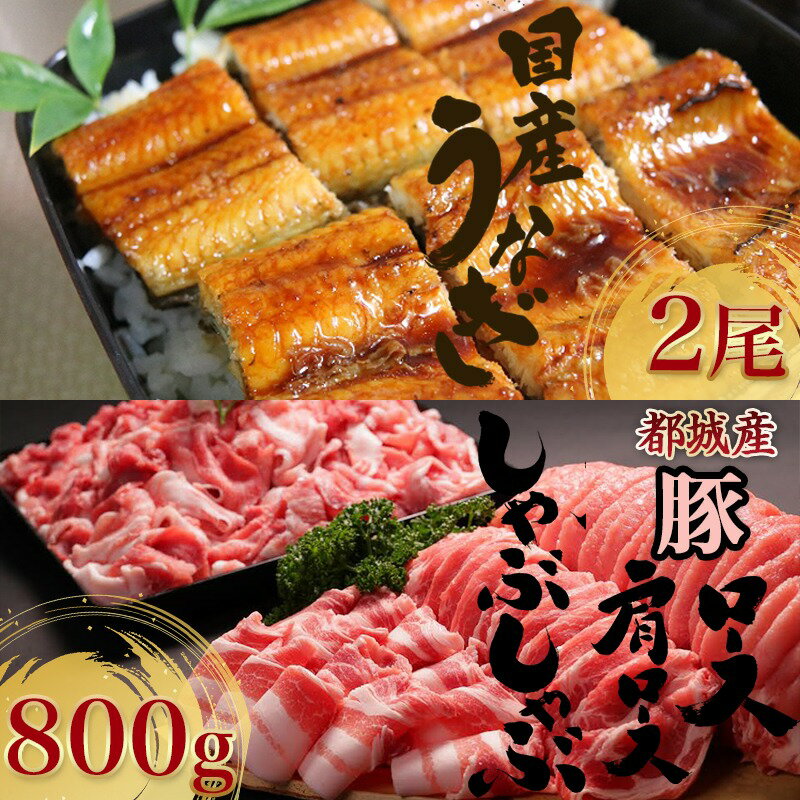 【ふるさと納税】国産うなぎ2尾×都城産豚しゃぶしゃぶ800g - うなぎ 2尾 豚肉 ロース 肩ロース しゃぶしゃぶ 800g 送料無料 AC-8902 【宮崎県都城市は令和2年度ふるさと納税日本一！】