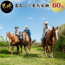 【ふるさと納税】霧島山で乗馬体験60分 - 霧島国立公園 観光乗馬牧場サウスヒルステーブル 60分コース 森林散歩 乗馬体験チケット 外乗 馬散歩 観光地 初心者 乗馬レッスン レジャー アクティビティ 送料無料 AE-G101【宮崎県都城市は令和2年度ふるさと納税日本一！】