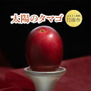 【ふるさと納税】 太陽のタマゴ 2〜3玉