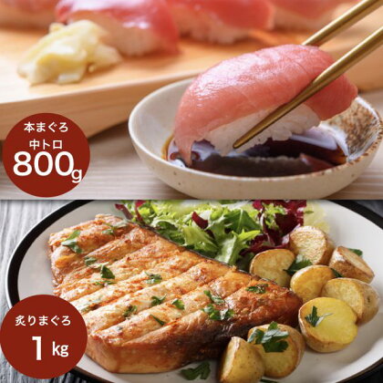 古澤水産 本マグロ中トロ800g&炙りマグロ1kgセット