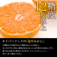 【ふるさと納税】《期間・数量限定》ことぶきみかん(計5kg)