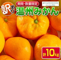 《訳あり》温州みかん(計10kg・サイズ混合)