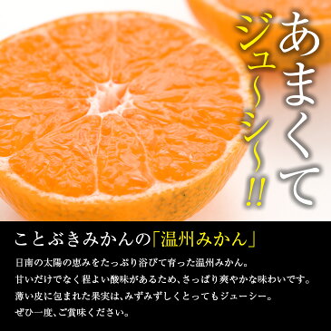 【ふるさと納税】《訳あり》温州みかん(計10kg・サイズ混合)