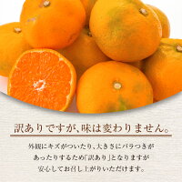 《訳あり》温州みかん(計10kg・サイズ混合)