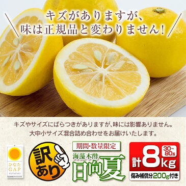 【ふるさと納税】訳ありフルーツ≪先行予約≫海藻木酢日向夏(計8kg)傷み補償分200g付き