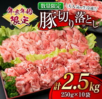 【ふるさと納税】年末年始限定≪大人気の生冷凍!!≫『厳選』豚切り落とし(計2.4kg)日南市産豚肉豚肉