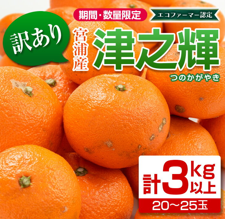 【ふるさと納税】訳あり≪数量限定≫津之輝(計3kg以上)　フルーツ　果物　柑橘　みかん