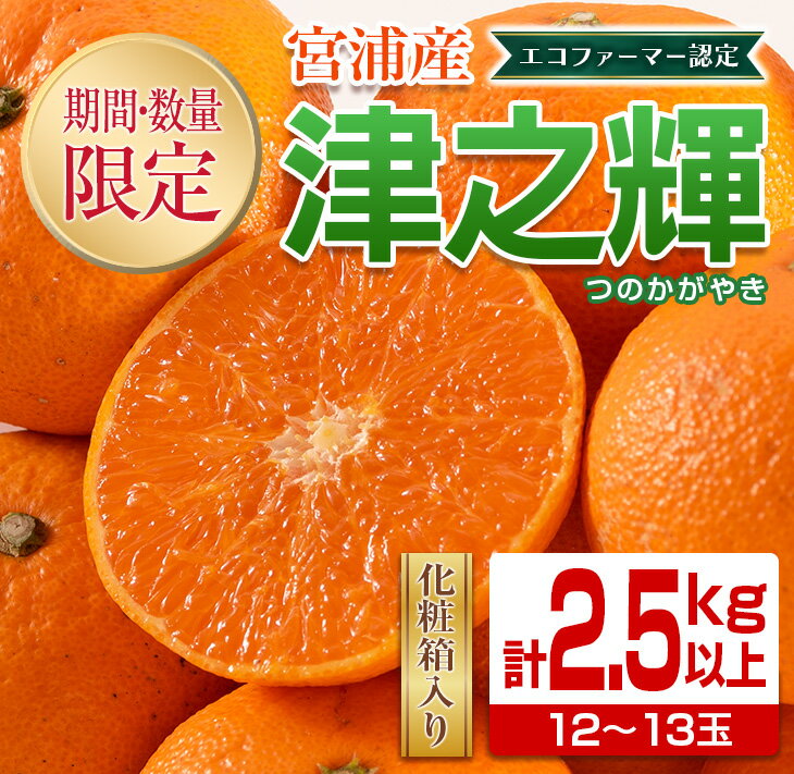 【ふるさと納税】≪数量限定≫津之輝(計2.5kg以上)　フルーツ　果物　柑橘　みかん