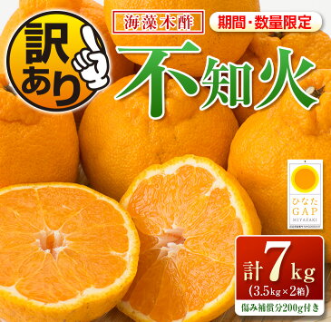 【ふるさと納税】訳ありフルーツ≪先行予約≫海藻木酢不知火(計7kg)傷み補償分200g付き