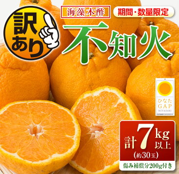 【ふるさと納税】訳あり≪数量限定≫海藻木酢不知火(計7kg以上)傷み補償分200g付き　フルーツ　果物　柑橘　みかん