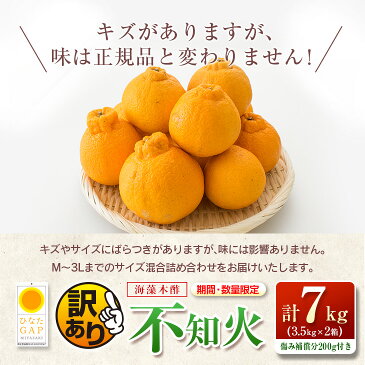 【ふるさと納税】訳ありフルーツ≪先行予約≫海藻木酢不知火(計7kg)傷み補償分200g付き