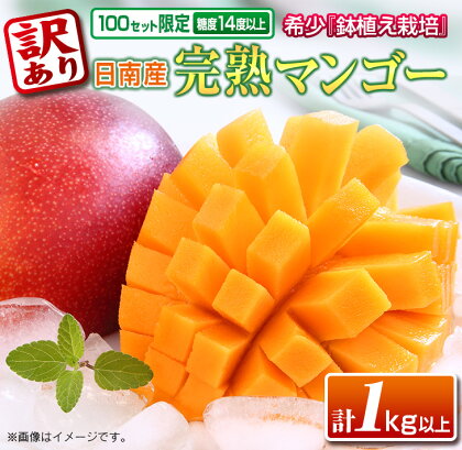 訳あり≪数量限定100セット≫日南産完熟マンゴー(計1kg以上)