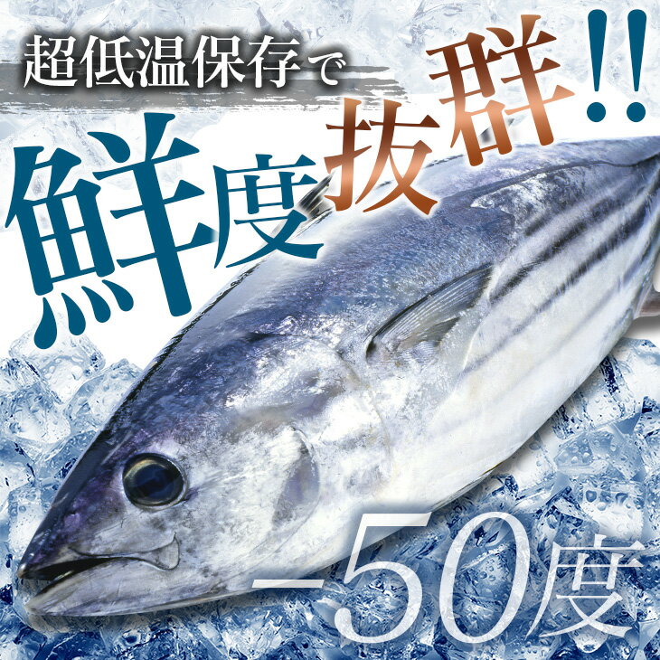 【ふるさと納税】≪訳あり≫規格外!!新鮮かつおのタタキ(計1.5kg)