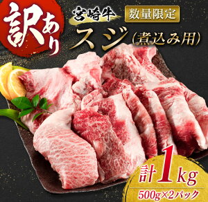【ふるさと納税】訳あり≪数量限定≫宮崎牛スジ(煮込み用)計1kg　肉　牛　牛肉