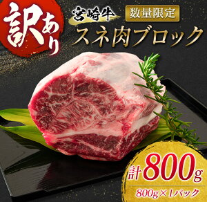 【ふるさと納税】訳あり≪数量限定≫宮崎牛スネ肉ブロック(計800g)煮込み用　肉　牛　牛肉