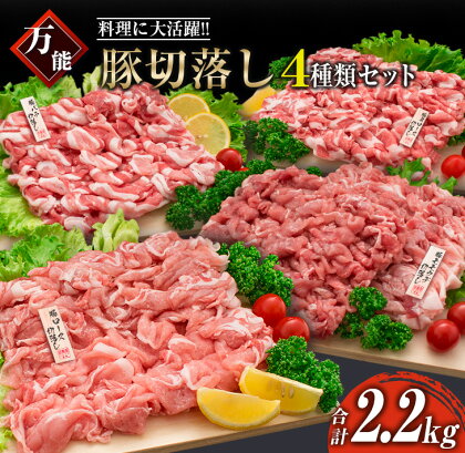 豚肉 切り落とし 4種 セット 合計2.2kg 日南市産 ポーク 国産 食品 おかず お弁当 おつまみ 万能食材 肩ロース バラ モモ ウデ 切落し 食べ比べ 人気 おすすめ カレー 焼肉 生姜焼き 炒め物 大容量 お取り寄せ グルメ おすそ分け 宮崎県 日南市 送料無料