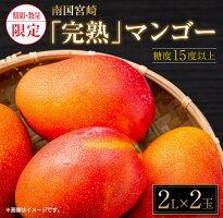 南国宮崎「完熟」マンゴー(2L×2玉)日南市南郷町産