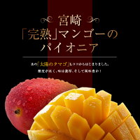 【ふるさと納税】南国宮崎「完熟」マンゴー(2L×2玉)日南市南郷町産