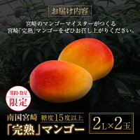 【ふるさと納税】南国宮崎「完熟」マンゴー(2L×2玉)日南市南郷町産