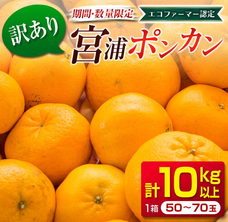 【ふるさと納税】訳あり≪数量限定≫宮浦ポンカン(計10kg以上)　フルーツ　果物　柑橘　みかん