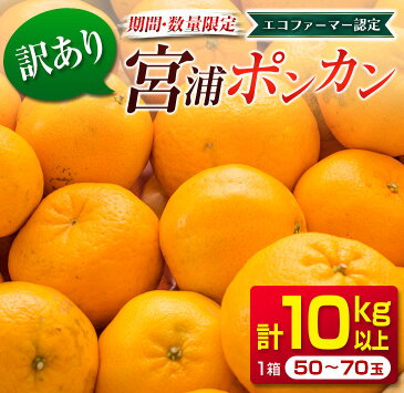 【ふるさと納税】訳あり≪数量限定≫宮浦ポンカン(計10kg以上)　フルーツ　果物　柑橘　みかん